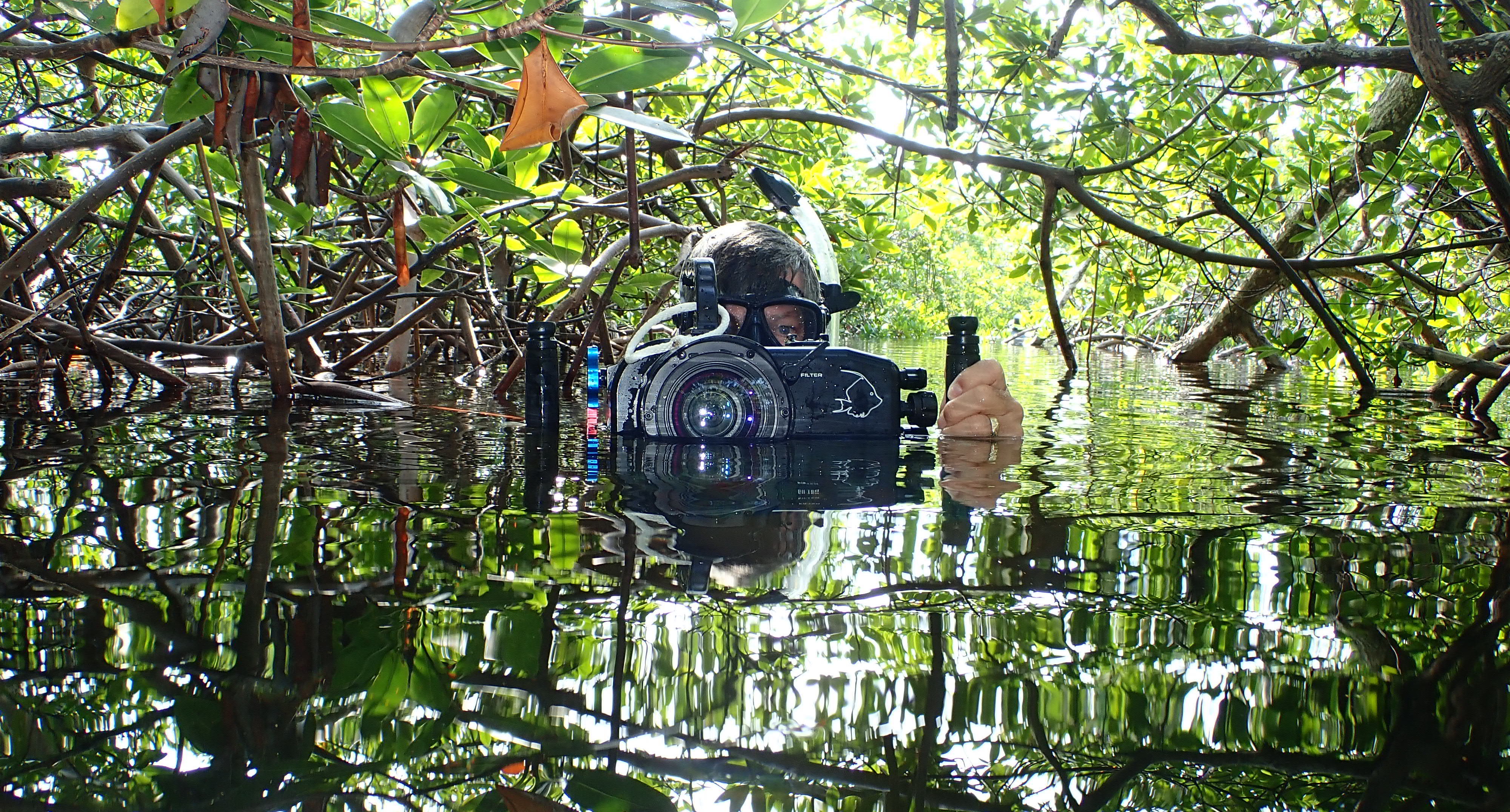 John_in_Mangroves_-_Cropped.jpg